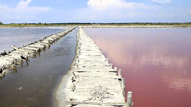 ДП "Геройське дослідно-промислове підприємство". ФОТО: vgoru.org