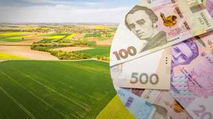 Земельные участки без договоров стоили громаде Одесской области десятки миллионов