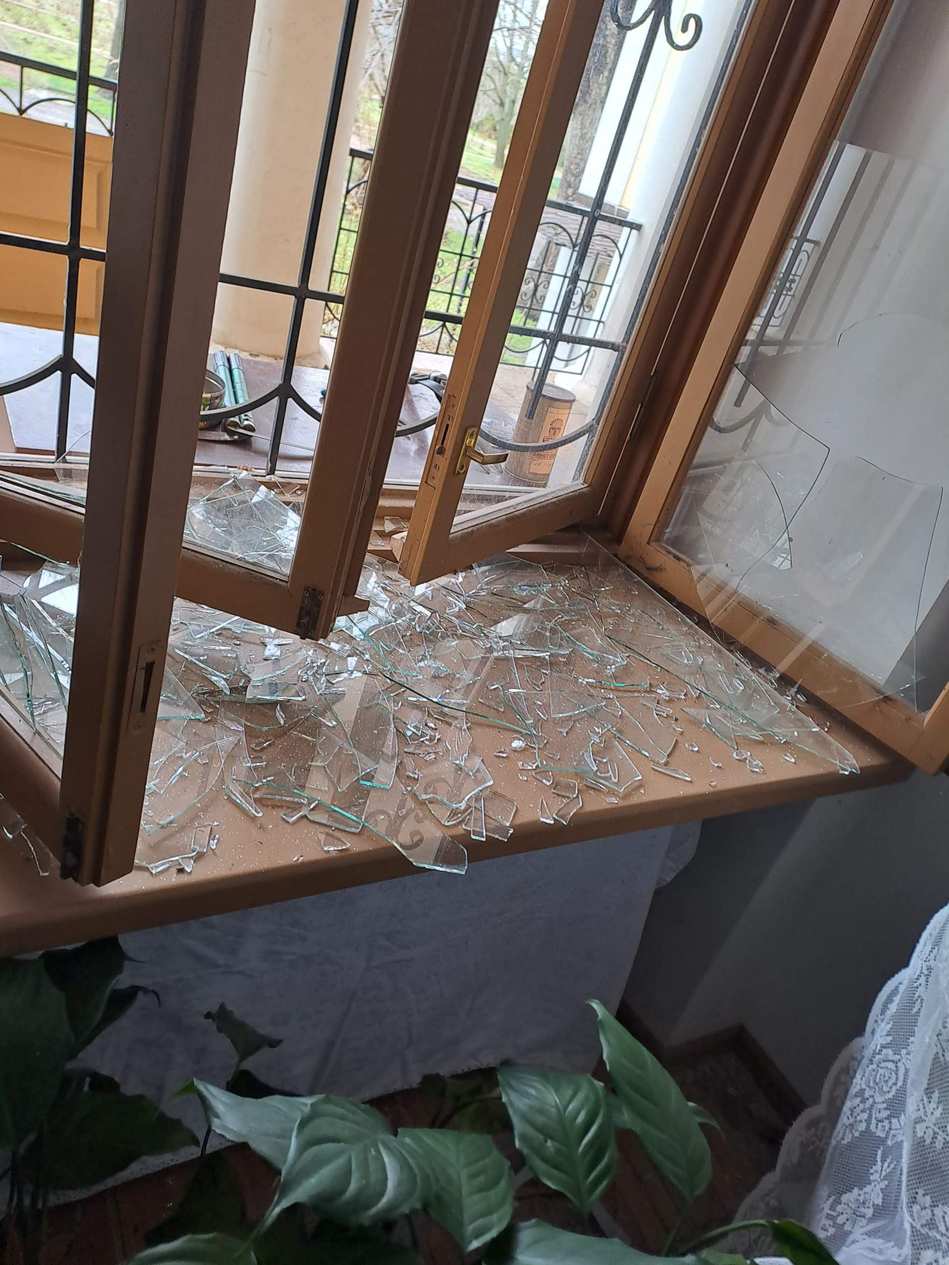 Ботанічний сад постраждав від ракетного удару по Одесі - наслідки