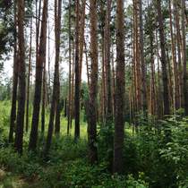 природно-заповідний фонд