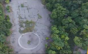 Возле Трассы здоровья собираются строить спортивные площадки и место для дрессировки собак