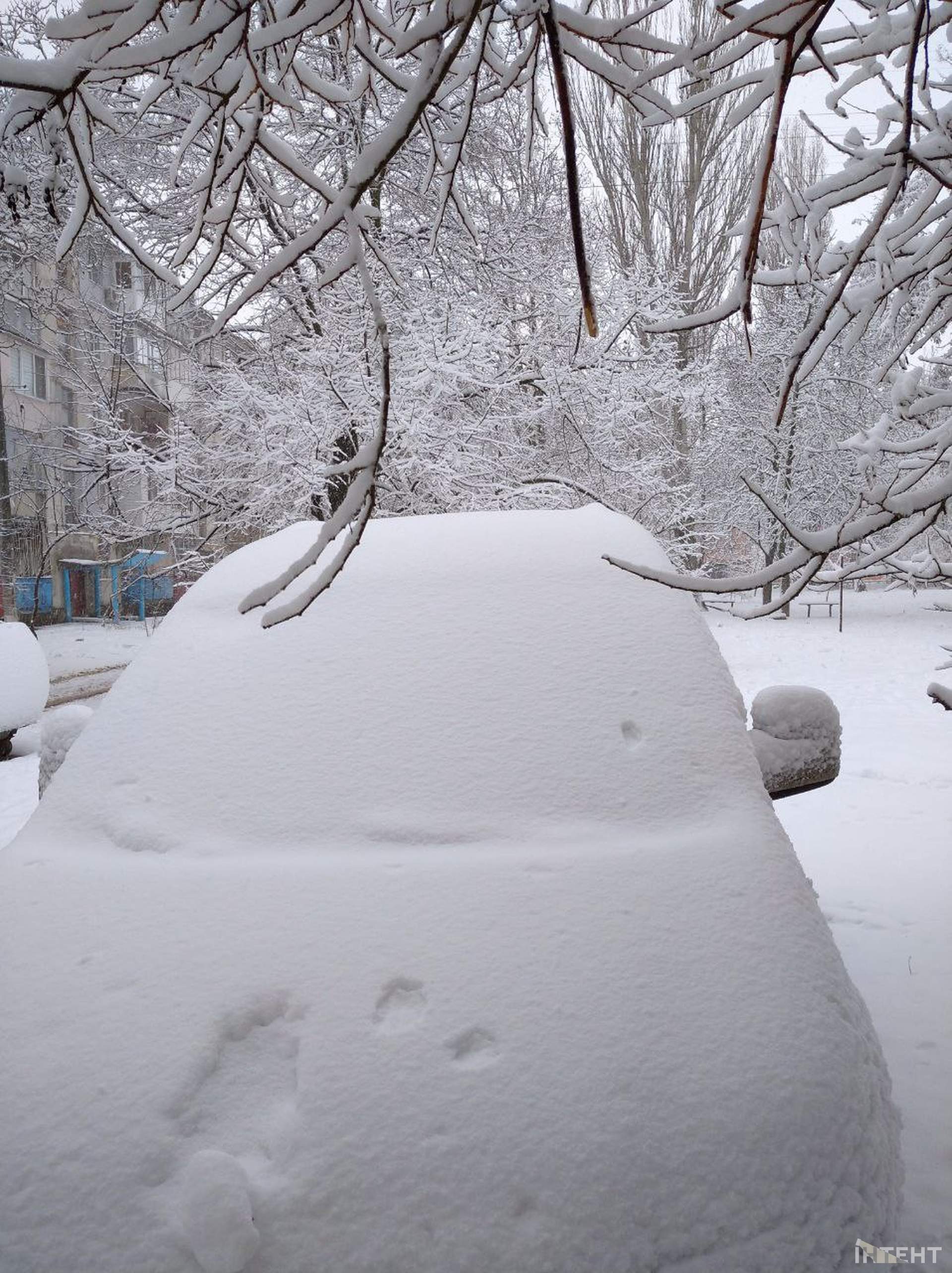 Зимова казка