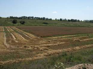 На Миколаївщині планують конфіскувати земельні ділянки росіян