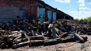 Firewood suppliers for the Armed Forces of Ukraine in Mykolaiv region bypass investigation