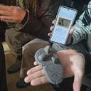 Школа антикознавства в Одесі цього року вперше відбулася взимку