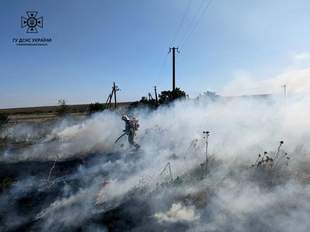 Горіли сміття та трава: на Миколаївщині за добу сталося 25 пожеж