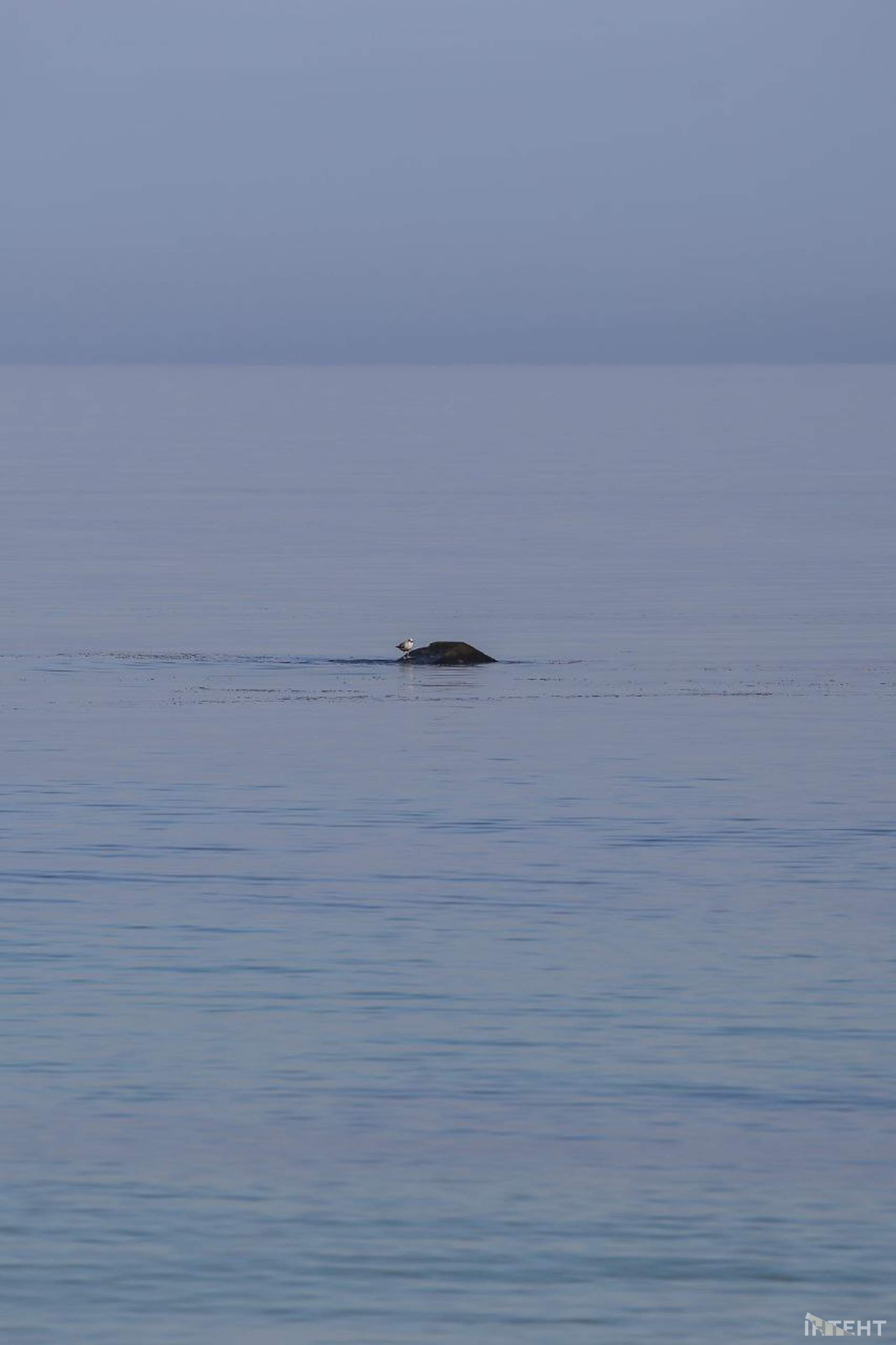 На одеські пляжі прийшла друга воєнна весна