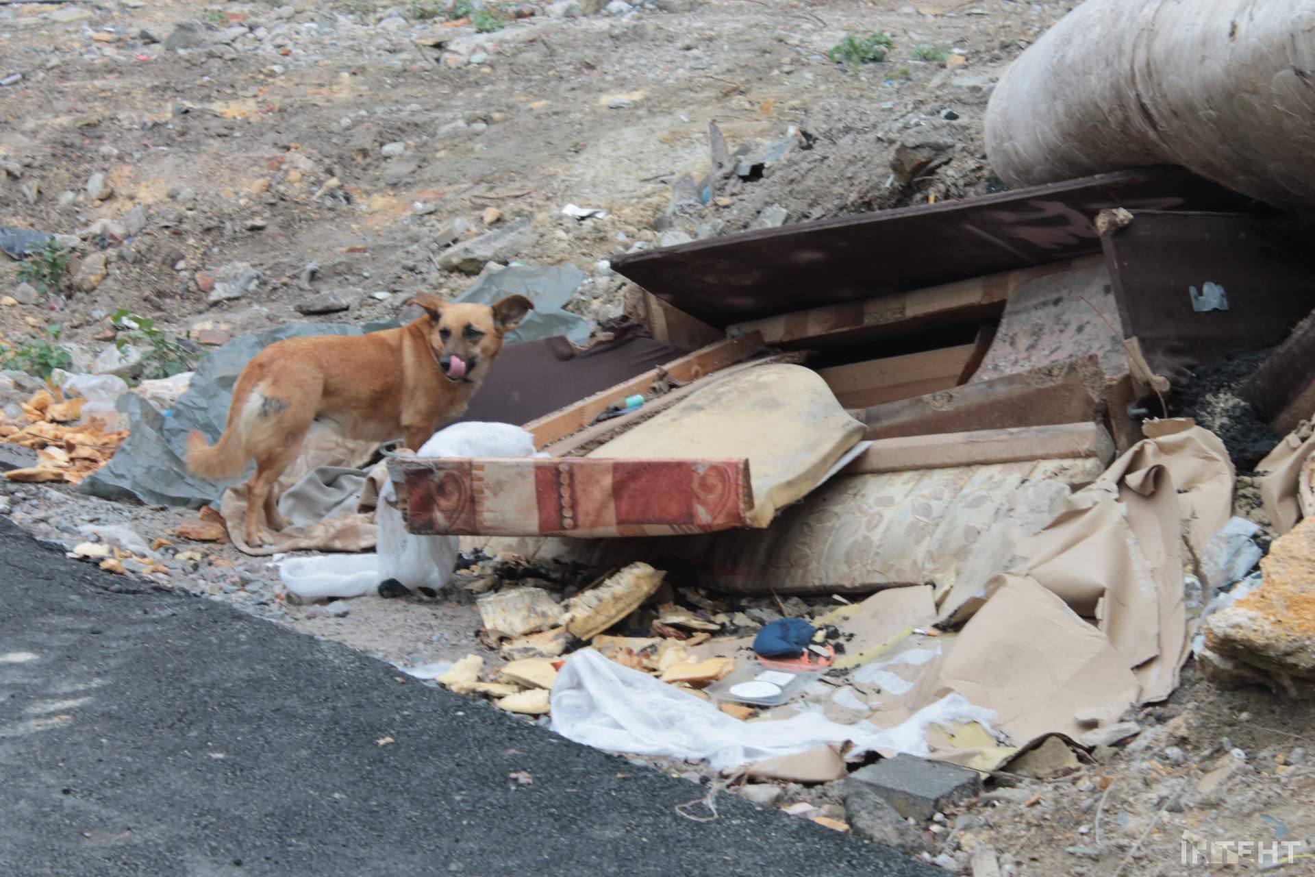 В Одесі майже завершили ремонтувати Деволанівський узвіз