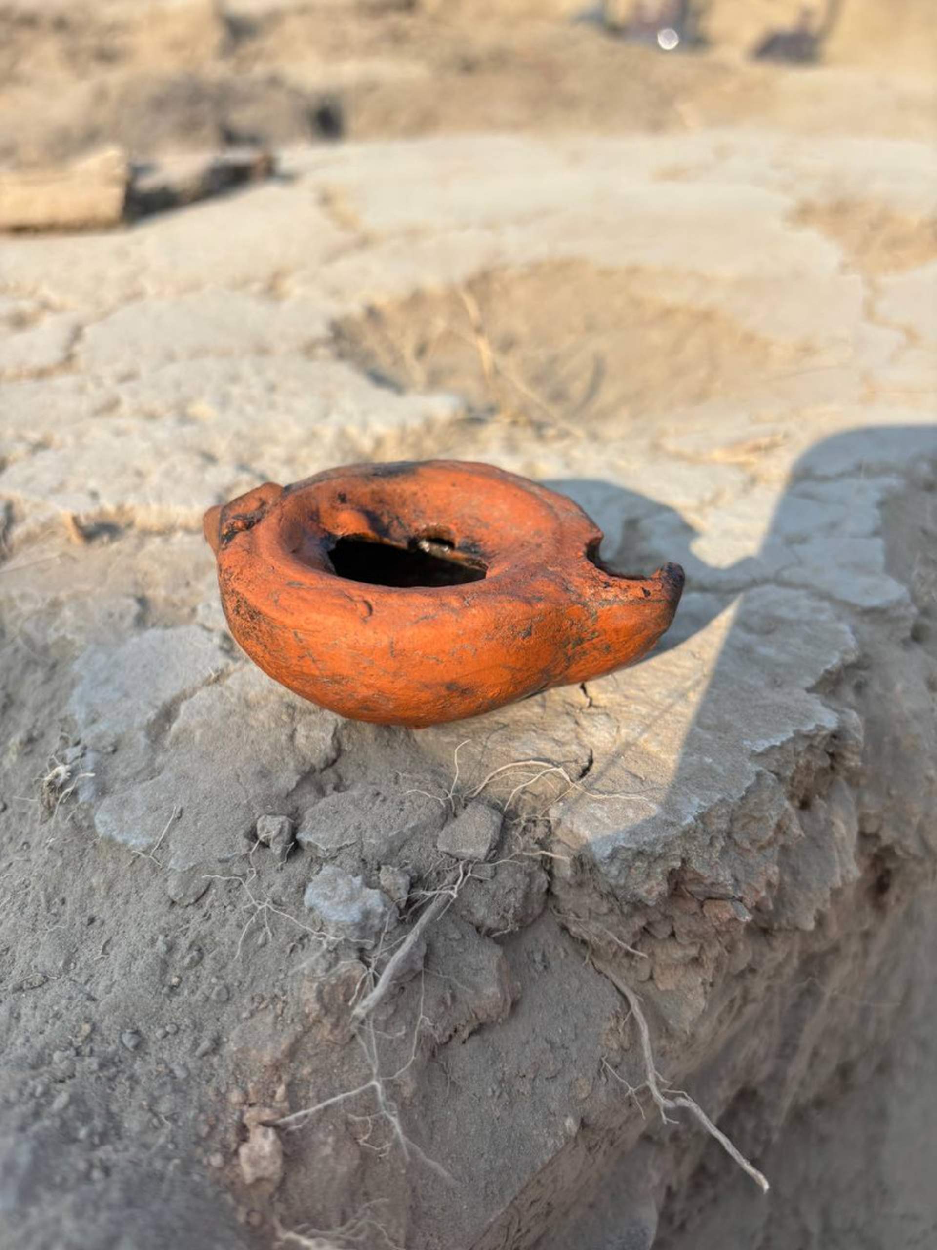 Студенти одеського університету завершили першу з початку пандемії археологічну експедицію