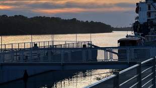 У Дунаї виявили отруйні речовини