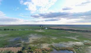 Рибне господарство Одещини зобов'язали повернути державі землю за 500 мільйонів