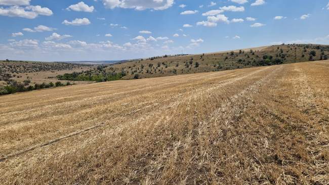 ФОТО: Державна екологічна інспекція Південно-Західного округу