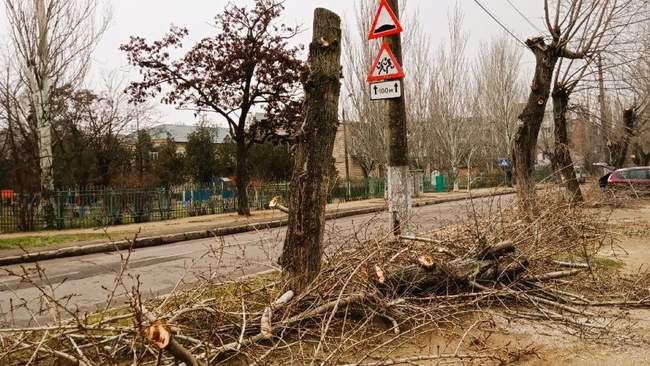 Фото: Миколаївські парки