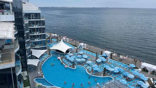 В Одесі заарештували директора дельфінарію за будівництво на Ланжероні