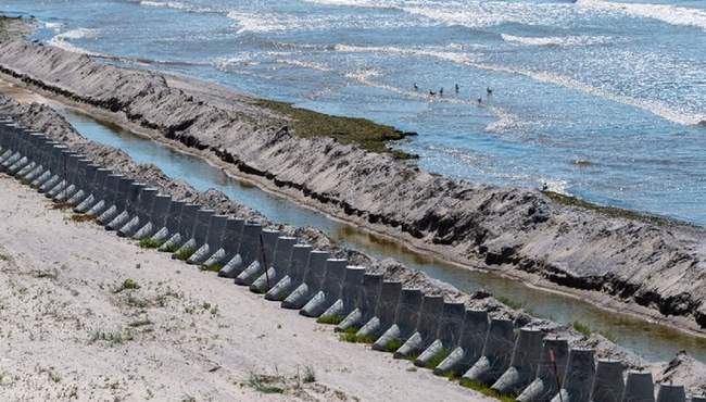Фото: Суспільне