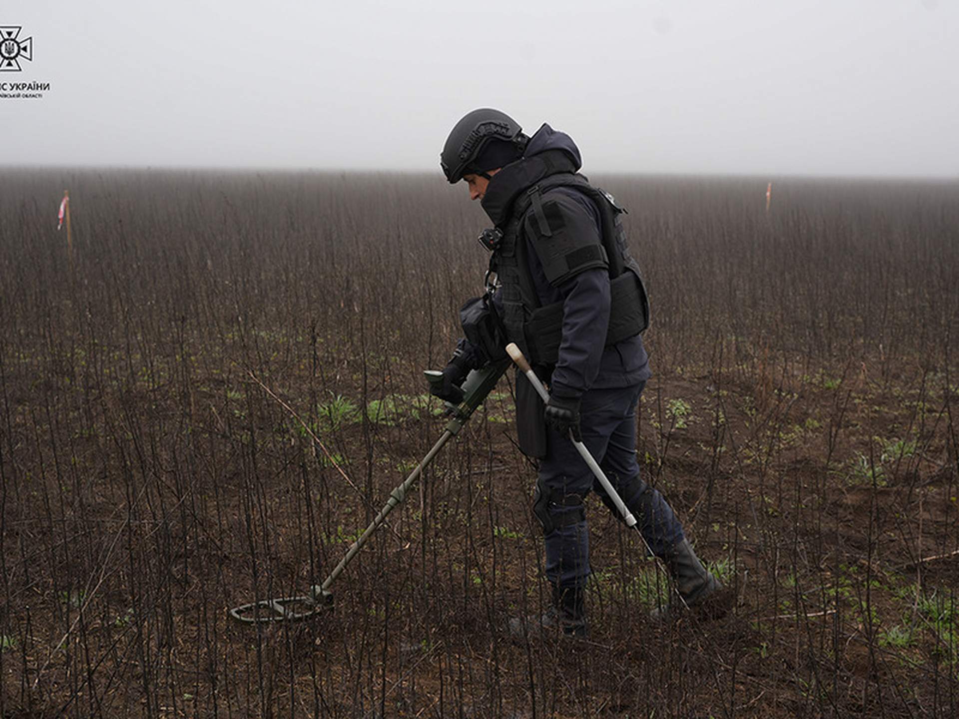 На Миколаївщині розмінували понад 3000 гектарів