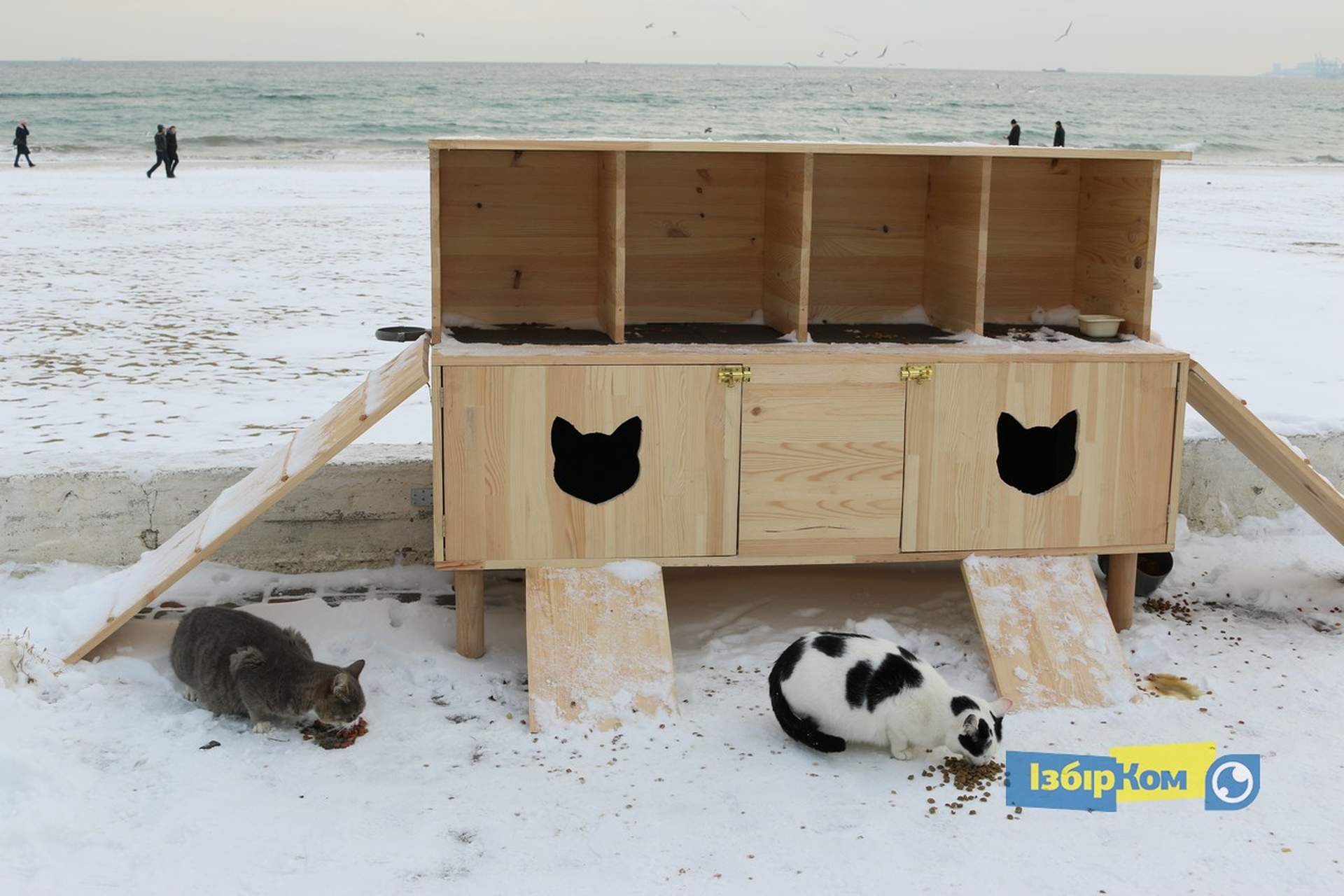 Как усатые жители Лузановки справляли новоселье