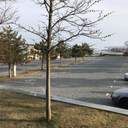 Вікенд на Ланжероні: смугасті стрічки не зупиняють одеситів, які вийшли погуляти