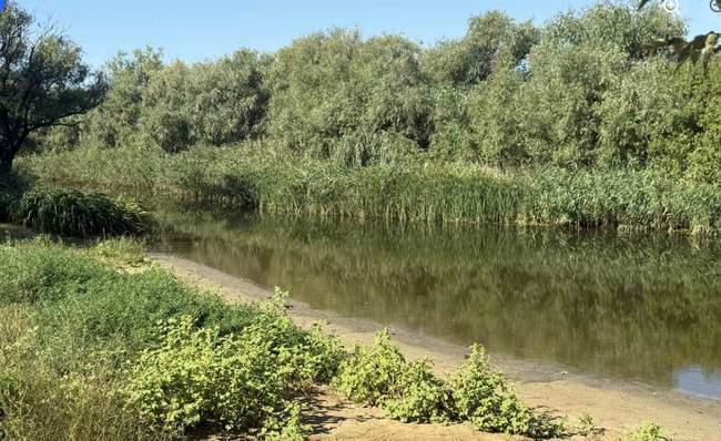 ФОТО: Нижньодністровський нацпарк