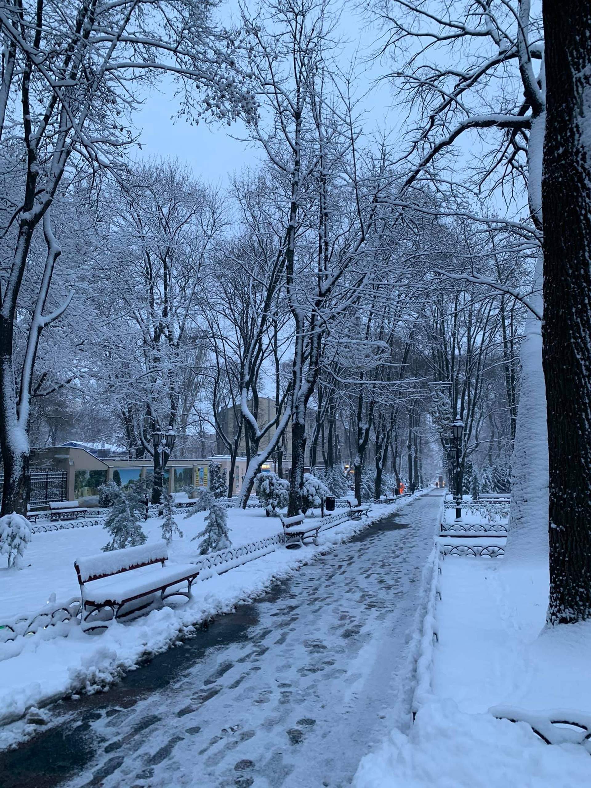 Одесу завалює снігом
