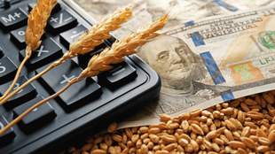 Мільярди у тіні: у Миколаєві суд відмовив в арешті підозрюваної у махінаціях з податками