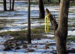 Forced Patriotism: Ukrainian Students in Crimea Coerced by Occupiers