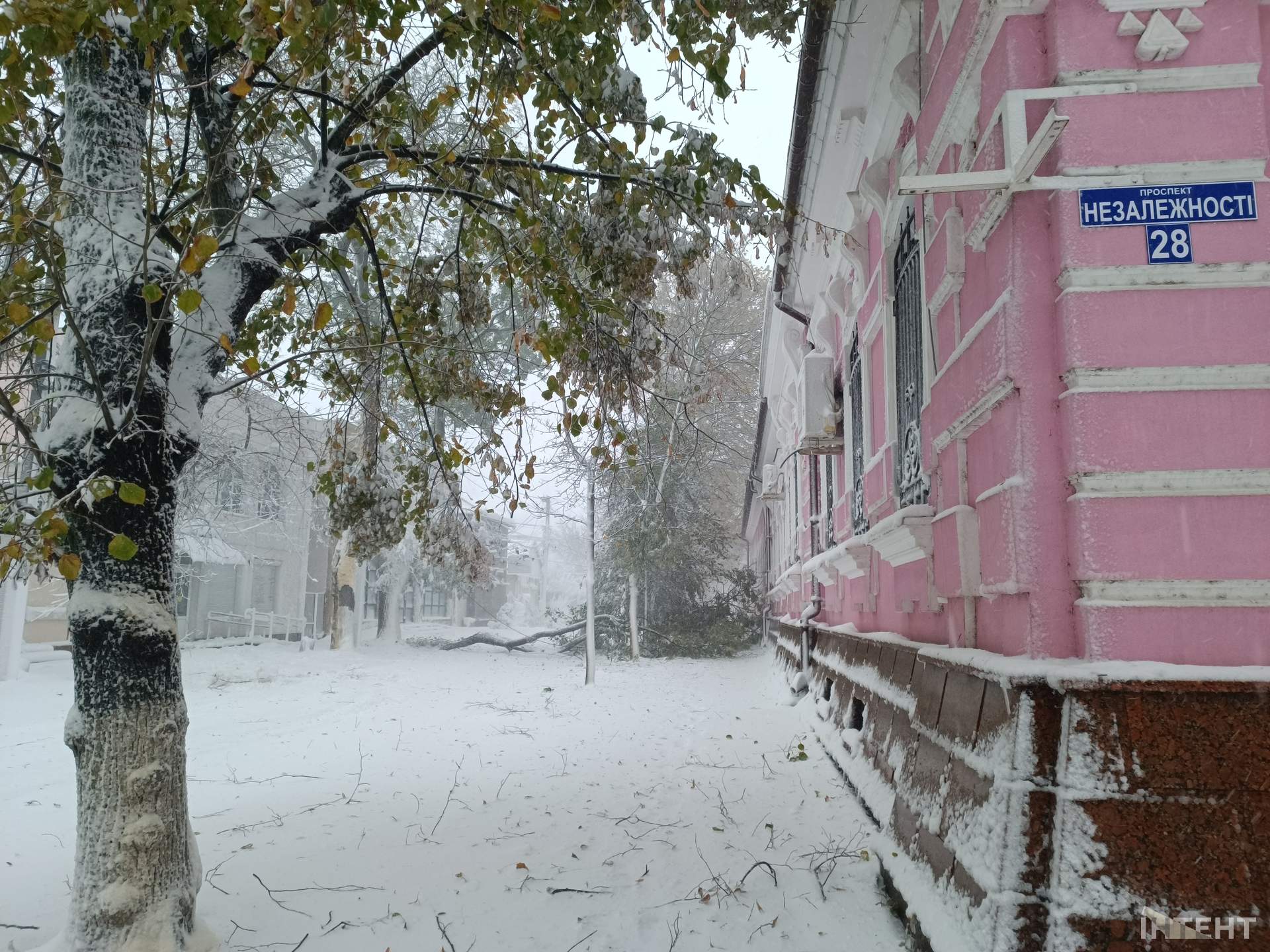 Кореспондентка Інтента прогулялася засніженим Ізмаїлом