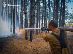 Пожар уничтожил 40 гектаров лесного урочища под Николаевом