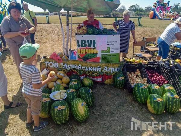 Фото: Інтент/Антоніна Лубченко