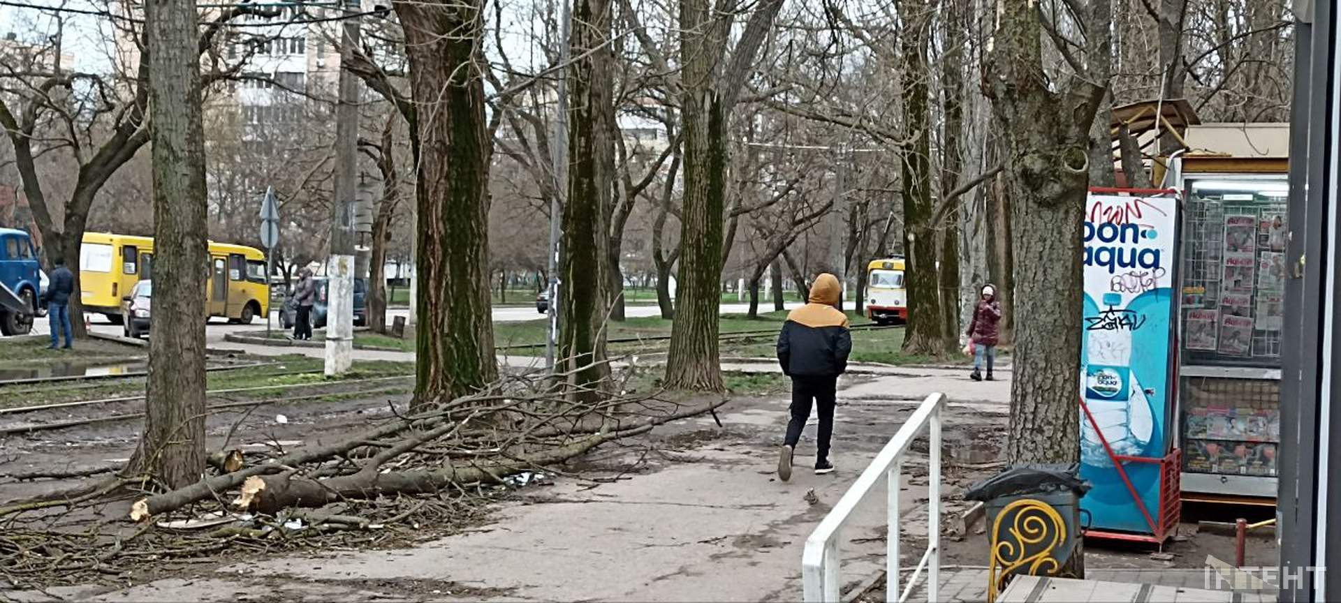 Через негоду на Одещині зранку знеструмлені 28 населених пунктів