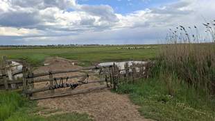 В Нацпарку на Одещині виявили незаконну кошару