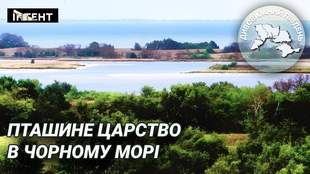 Дивовижний Південь: Чорноморський біосферний заповідник - між степом і морем