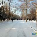 Снег в Одессе: катание на санках и прогулки к морю