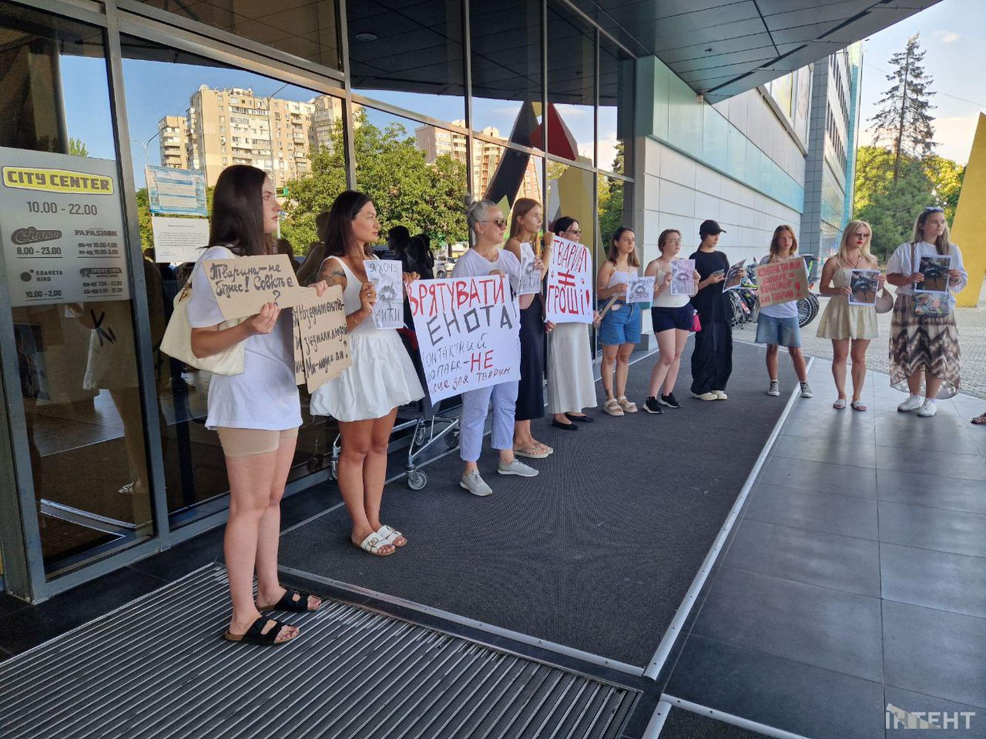 Одесити влаштували акцію протесту з вимогою врятувати єнота з контактного зоопарку