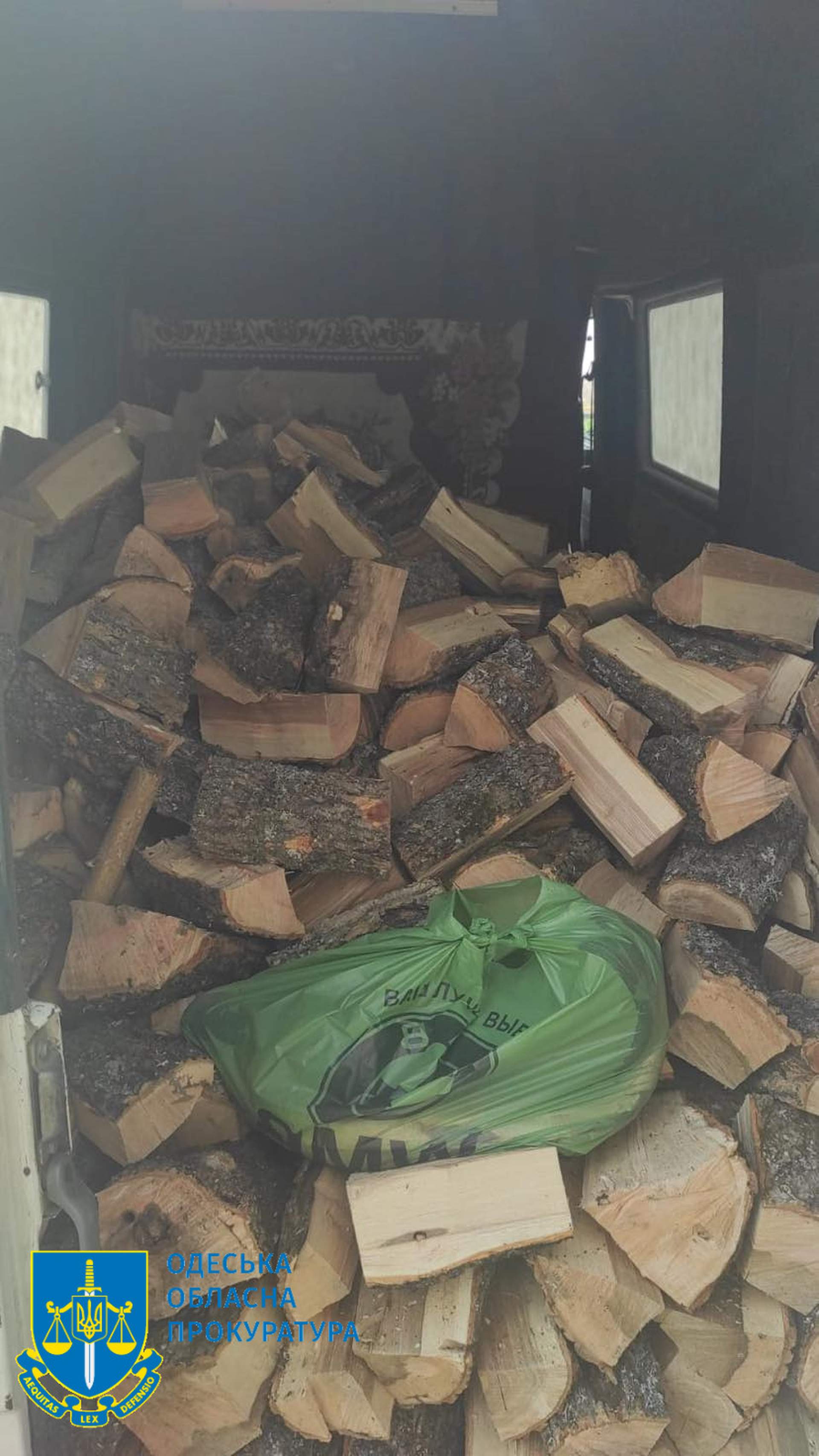 Поліцейський "чорний" лісоруб з подільниками постануть перед судом