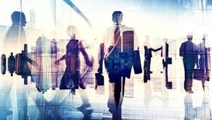 Мэру Николаева дали рекомендации провести психокоррекционную работу с директором Николаевских парков