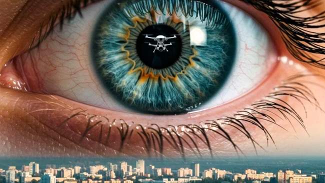 ІЛЮСТРАЦІЯ: khersonhumansafari.com