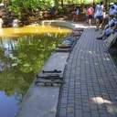 Судномоделісти змагались в одеському парку Перемоги