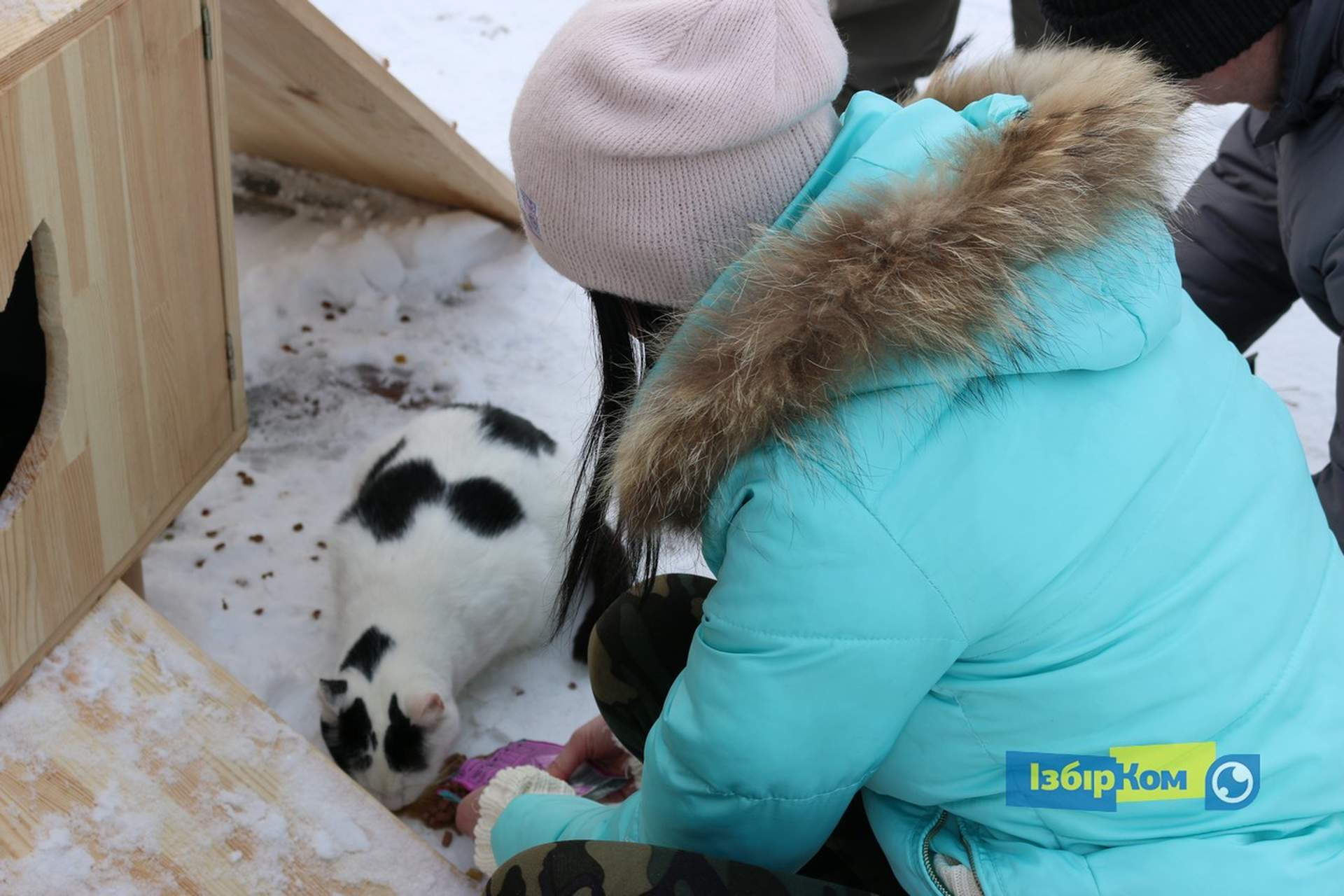 Как усатые жители Лузановки справляли новоселье
