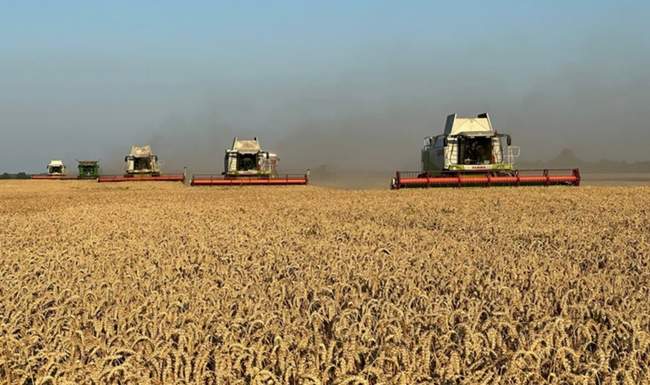 ФОТО: agrotimes.ua