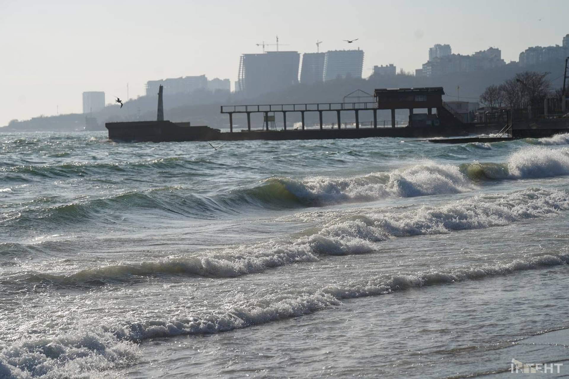 Вдвічі більше місць ніж торік: в Одесі відсвяткували Водохреще
