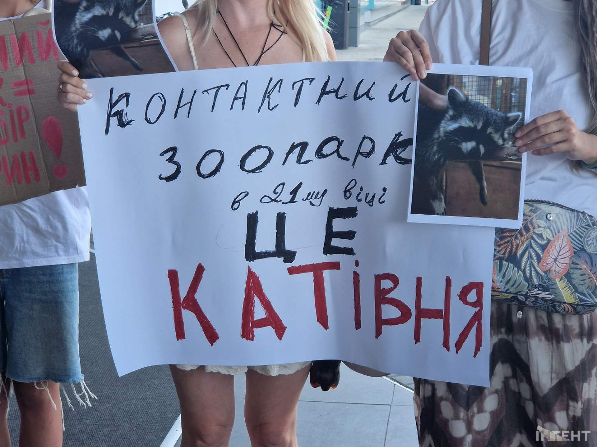 Одесити влаштували акцію протесту з вимогою врятувати єнота з контактного зоопарку