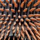 Перед будівлею Одеської мерії тимчасово встановили велетенські окуляри