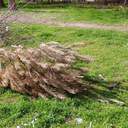 На Одещині пішов квітневий сніг