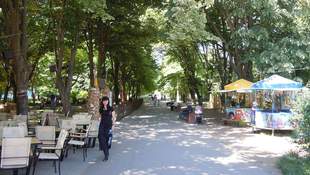 Разговор в Одесской беседке перерос в языковой скандал