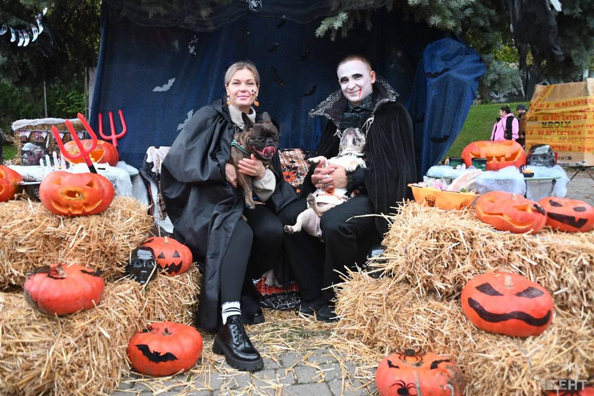 В Одесі відбулася Halloween-вечірка собак