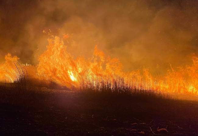 Фото: ДСНС в Одеській області