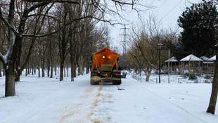 В 2025 году "Парки Херсона" получили 106 миллионов финансирования