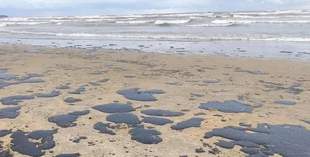 Мазут с затонувших российских танкеров вновь обнаружили у побережья Одесской области