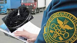 Odessa customs officer fined for extorting money from caviar smugglers